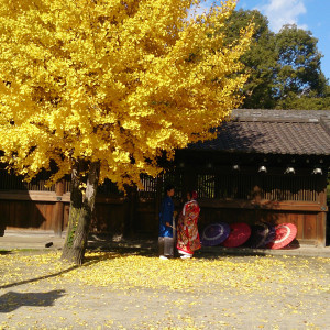 前撮り撮影中|352027さんの八幡の森 迎賓館（尾張八幡神社）（営業終了）の写真(62651)