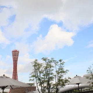 神戸ポートタワーも見える