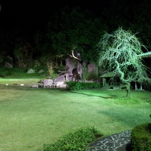 夜のお庭|353543さんのフレンチレストラン蔦の葉の写真(56439)