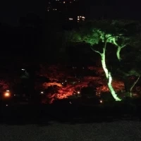 ライトアップ