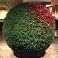本館正面