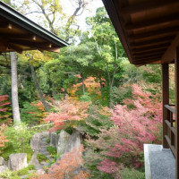 披露宴会場に向かうところからみえた外の景色です