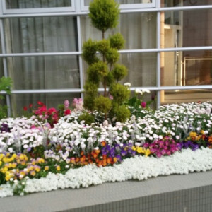 色とりどりの花が植えられていました。とても綺麗です。|356061さんのRiver Suite OSAKA（リバースイート大阪）（ウエディング取扱終了）の写真(128140)