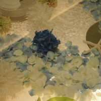 バージンロード