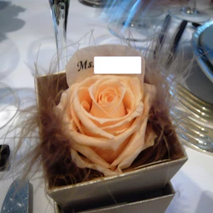 席札　花びらにプリントが！|356988さんのフェリチタの写真(54432)