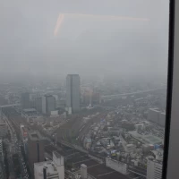 廊下の眺め
