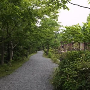 たくさんの緑と小川の庭。|357755さんのホテルハーヴェスト旧軽井沢の写真(487266)