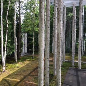 チャペル内からの眺め。緑に囲まれています。|357755さんの軽井沢ニューアート ウエディング 風通る白樺と苔の森チャペルの写真(487177)