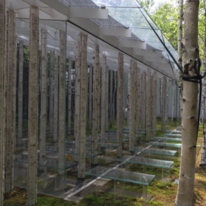 360度ガラス張りで開放感のあるチャペル。|357755さんの軽井沢ニューアート ウエディング 風通る白樺と苔の森チャペルの写真(483927)