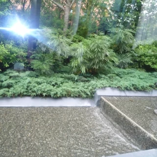 チャペル横に流れてた川。