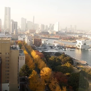 チャペルへの道から見える景色