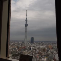 窓からの眺めが素敵です。