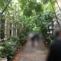 中庭