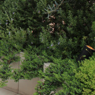 屋上のガーデン、外の様子は木々の隙間から見える程度。