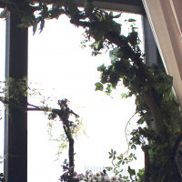 披露宴会場の窓には植物のアーチ