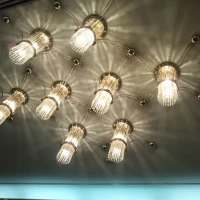 ロイヤルホールの中のシャンデリア