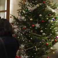 エントランスのクリスマスツリー