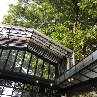 天井が開くので、解放的な雰囲気になります。