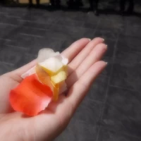 フラワーシャワー可能（チャペル出たところで）