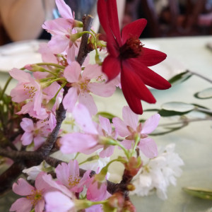 3月らしく、装花には桜なども使われていました。|363709さんの高輪プリンセスガルテンの写真(81069)