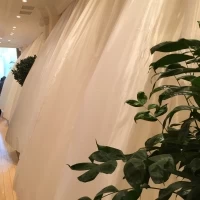披露宴会場のカーテン
