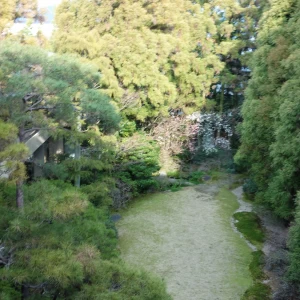披露宴会場から見える外の景色|364790さんの大正屋の写真(93748)