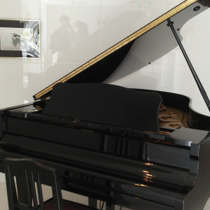 ピアノ①|364954さんのアート＆ウエディング 宮の森ミュージアム・ガーデンの写真(94516)