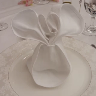 ナフキン