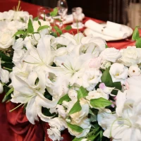 高砂の花です。