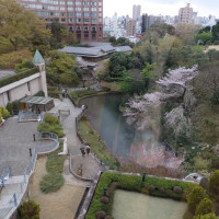 披露宴会場〜ヒッコリールーム〜ホワイエからの眺望