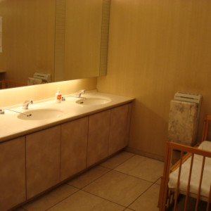 女性用御手洗い|368368さんの東京ベイ有明ワシントンホテルの写真(109108)