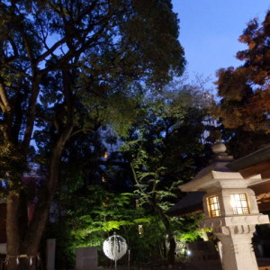 式場周辺の木々たち|368368さんの乃木神社・乃木會館の写真(121231)