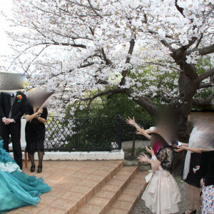 ガーデンの桜の木の下でブーケトス|369259さんのセントジョージジャパンの写真(111550)