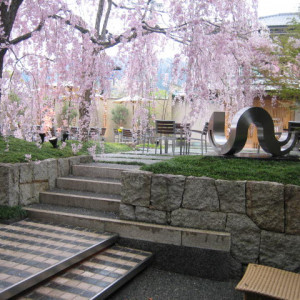 ガーデンにある桜の木|369259さんの岡崎庵の写真(111614)