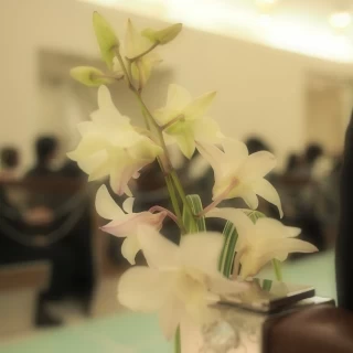 挙式会場です。白くて綺麗でした。