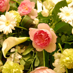 メインテーブルのお花アップ！かわいい色合い♪|370758さんのマリエール高崎の写真(195368)