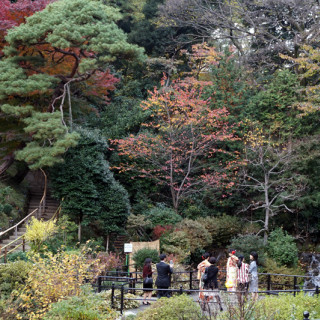 綺麗な庭