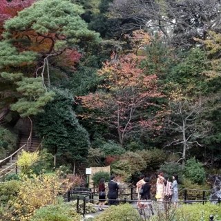 綺麗な庭