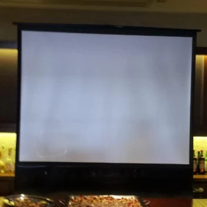 ビデオ上映スクリーン|371258さんのフェリチタの写真(117942)