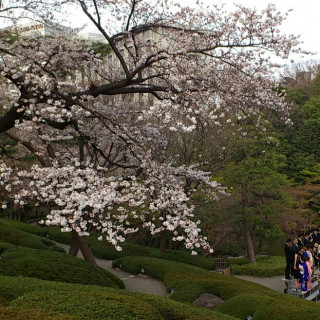 庭園です。庭園で集合写真を撮る方々もいらっしゃいました。