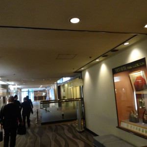ホテル内廊下①|372541さんの京都国際ホテルの写真(193946)