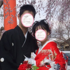 鳥居と桜|373289さんの平野神社の写真(129073)