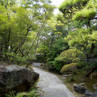 日本庭園①