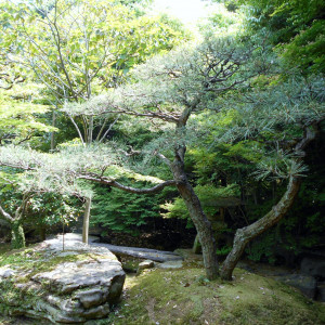 日本庭園③|373703さんのヴィラ シェトワ ハクサンの写真(145248)