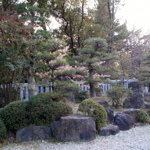 社務所庭園|373703さんの市原稲荷神社の写真(143066)