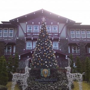 クリスマスシーズンの外観|374652さんの雲仙観光ホテルの写真(142690)