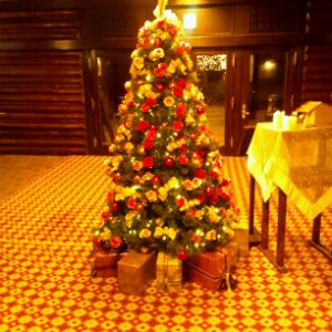クリスマス時期には大きなツリーがゲストを出迎えます。|374652さんの雲仙観光ホテルの写真(142681)