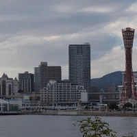 フラワーシャワー時の海側(ハーバーを眺める景色)