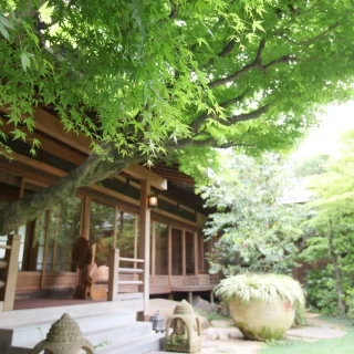 緑がきれいです