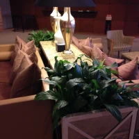 椅子や植物が心地よい空間をつくります